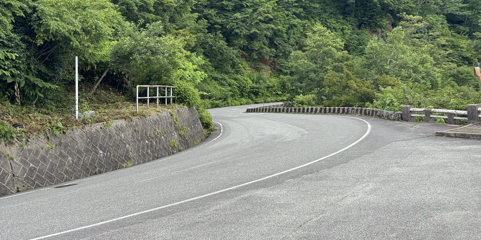緑に囲まれたワインディングロード